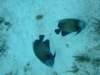dscf2285_small.jpg