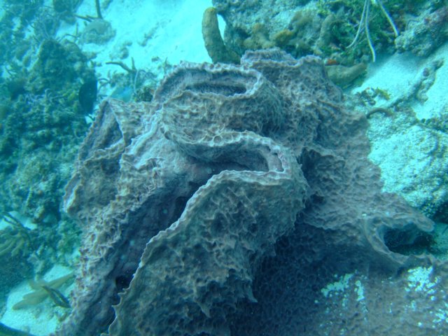 dscf2286.jpg