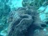 dscf2286_small.jpg