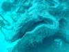 dscf2287_small.jpg