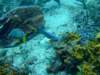 dscf2288_small.jpg
