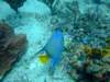 dscf2289_small.jpg