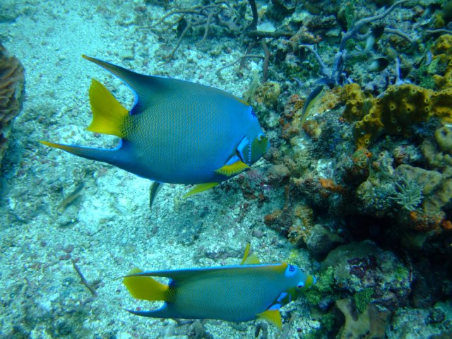 dscf2290.jpg