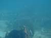 dscf2291_small.jpg