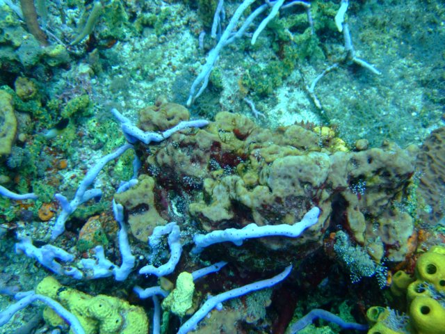 dscf2292.jpg