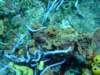 dscf2292_small.jpg