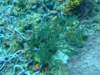 dscf2293_small.jpg