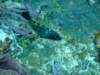 dscf2294_small.jpg