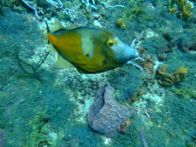 dscf2295.jpg