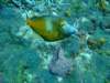 dscf2295_small.jpg