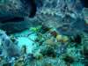 dscf2297_small.jpg