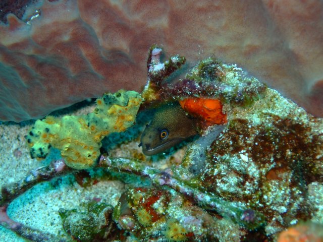 dscf2298.jpg