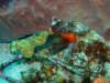 dscf2298_small.jpg