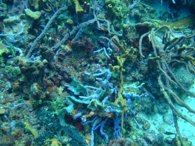 dscf2299.jpg