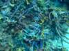 dscf2299_small.jpg