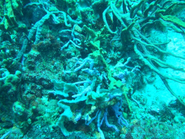 dscf2300.jpg