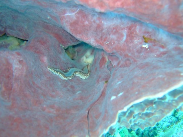 dscf2301.jpg