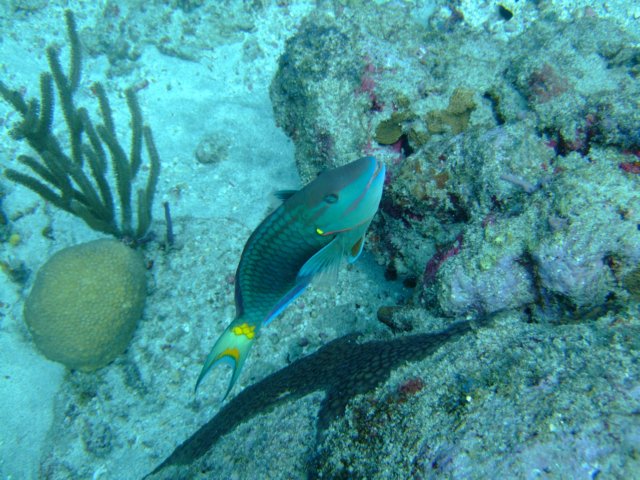 dscf2303.jpg