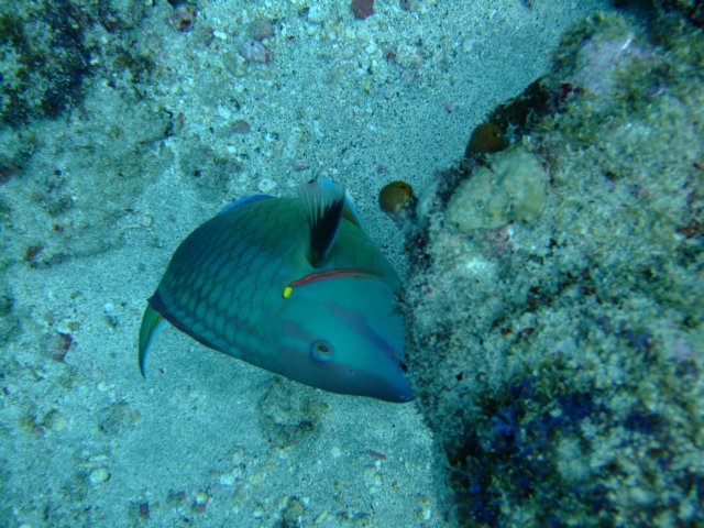 dscf2304.jpg