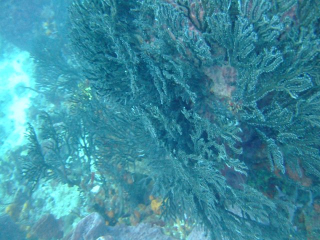 dscf2309.jpg