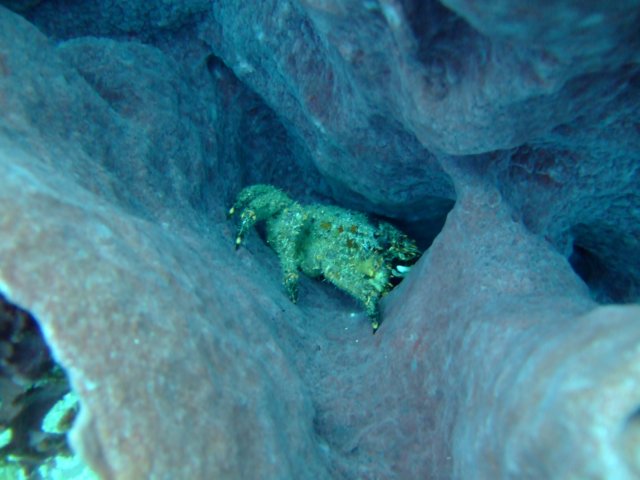dscf2313.jpg