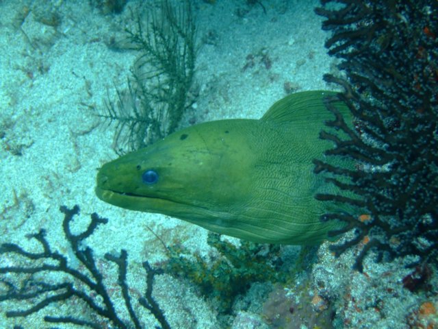dscf2316.jpg