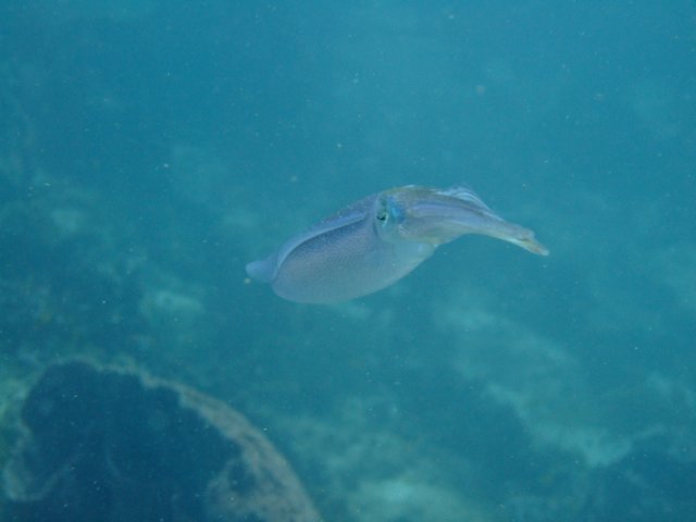 dscf2318.jpg