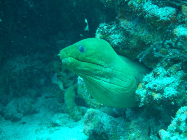 dscf2322.jpg