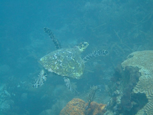 dscf2335.jpg