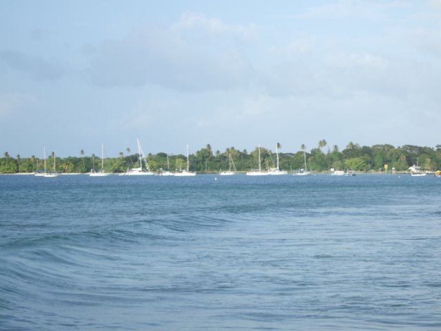 dscf2341.jpg