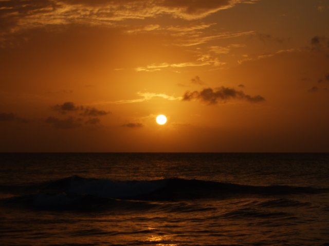 dscf2374.jpg