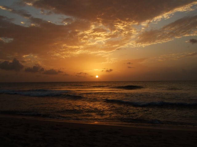 dscf2377.jpg