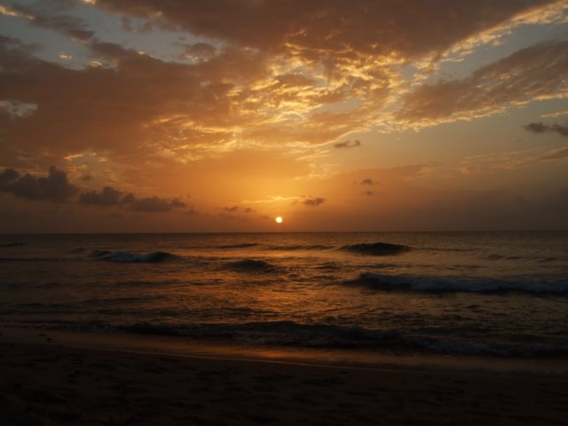 dscf2380.jpg