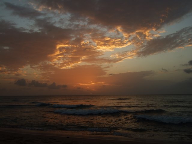 dscf2386.jpg