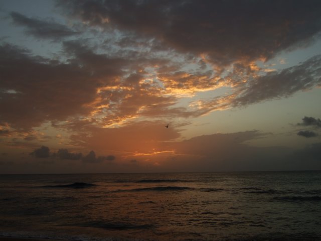 dscf2388.jpg