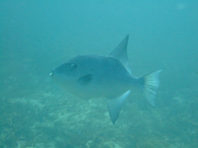 dscf2494.jpg