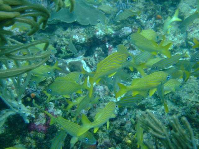 dscf2508.jpg
