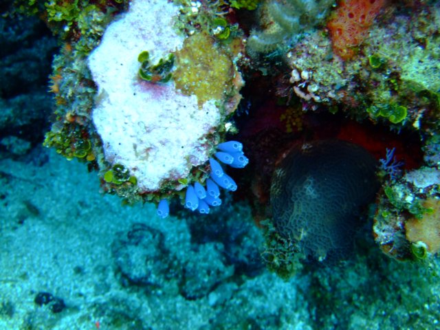 dscf2655.jpg