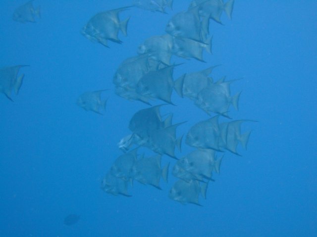 dscf2661.jpg