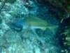 dscf2740_small.jpg
