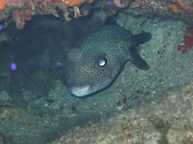 dscf2853.jpg