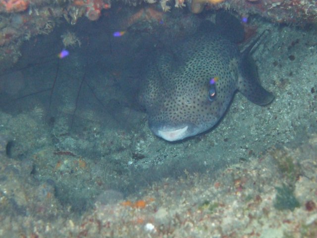 dscf2854.jpg
