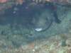 dscf2854_small.jpg