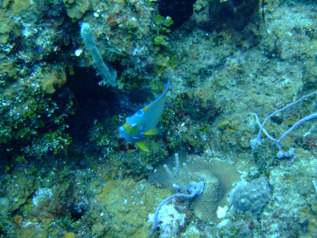 dscf2869.jpg