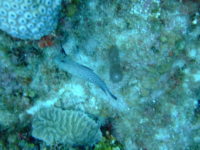 dscf3048.jpg