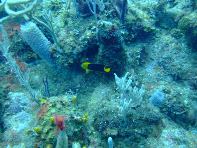 dscf3054.jpg