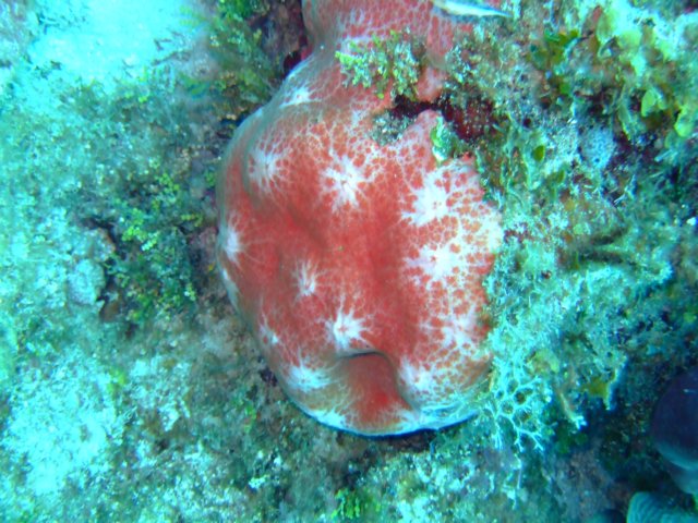dscf3055.jpg