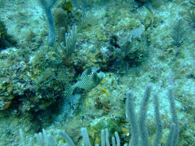 dscf3063.jpg