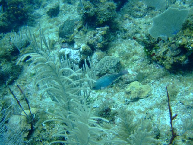 dscf3065.jpg