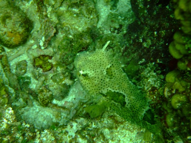 dscf3117.jpg